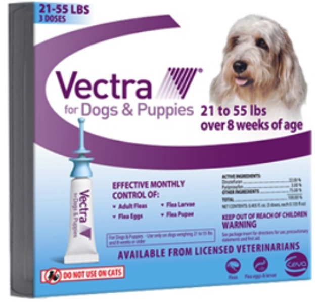 Vectra para Perros 3 dosis para perros y cachorros de 21 a 55 libras 1