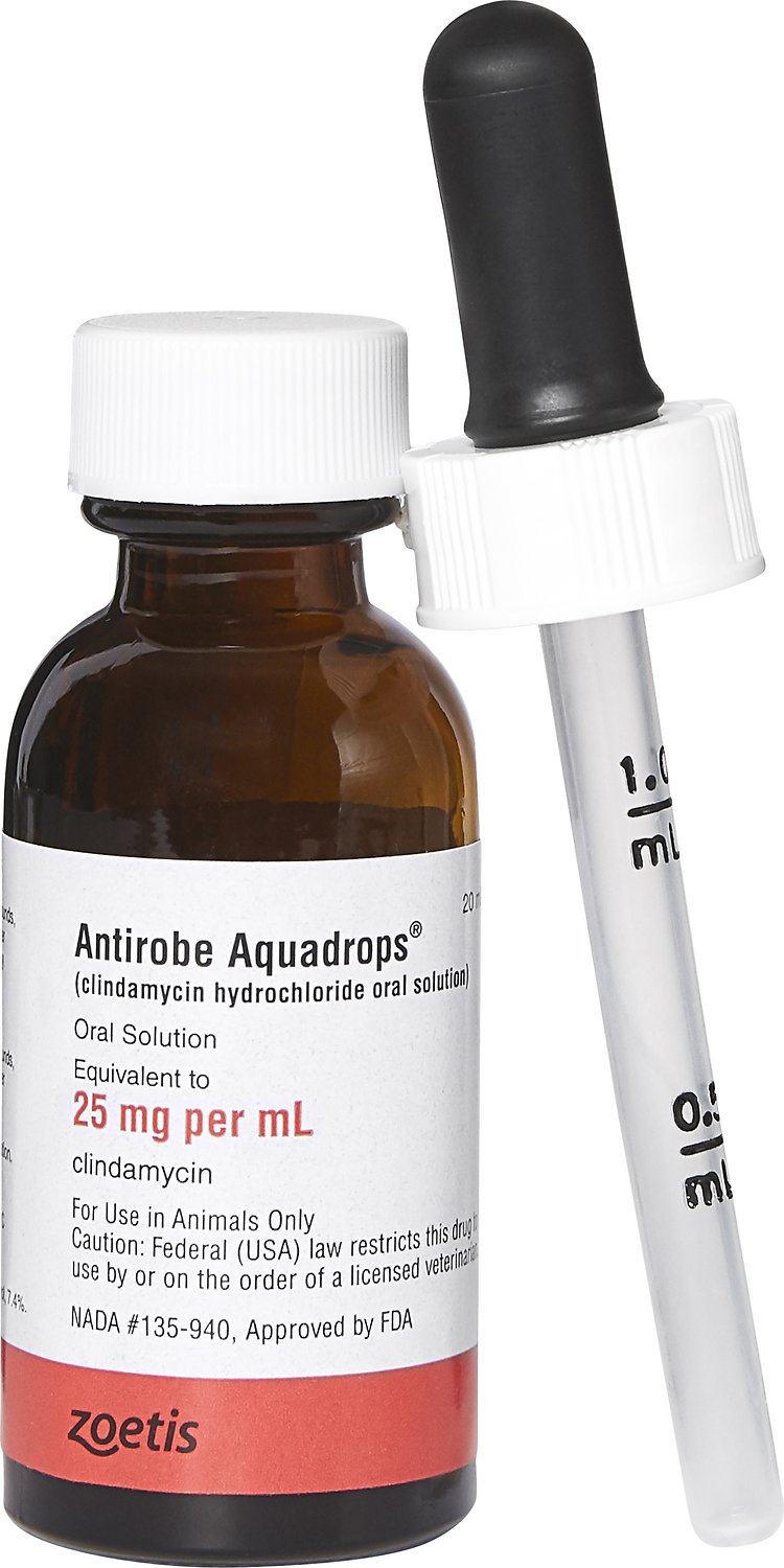 Antirobe Aquadrops 20 ml 25 mg/ml 2