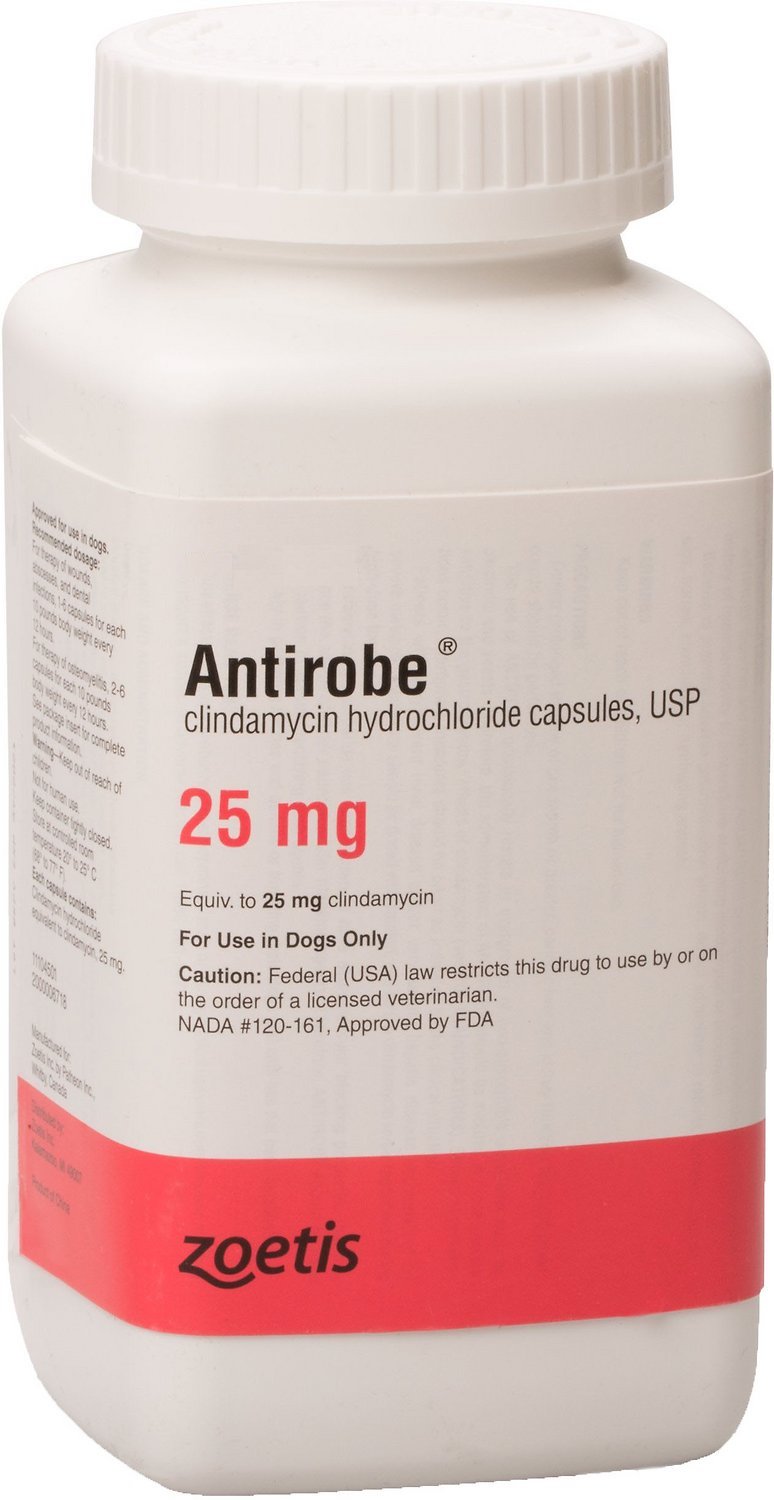 Antirobe Capsules 25 mg 1 capsule 1