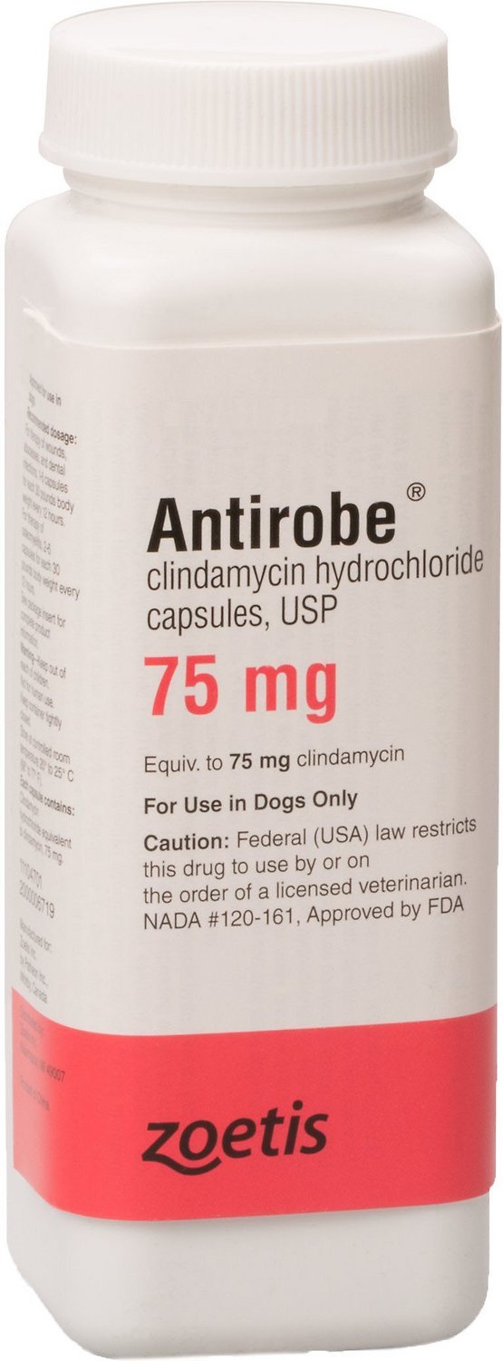 Antirobe Capsules 75 mg 1 capsule 1