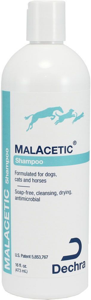 Malacetic Shampoo 16 oz 1