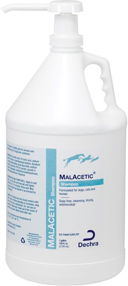 Malacetic Shampoo 1 gallon 1