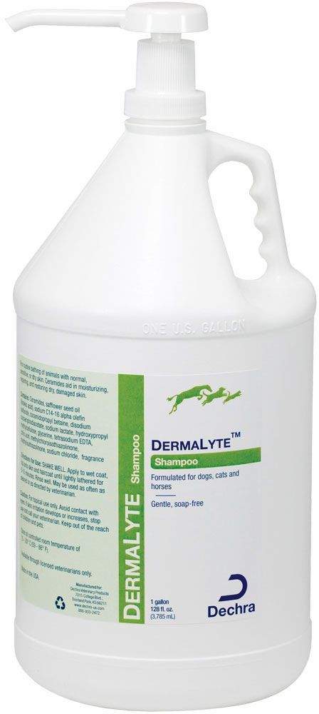DermaLyte Shampoo 1 gallon 1