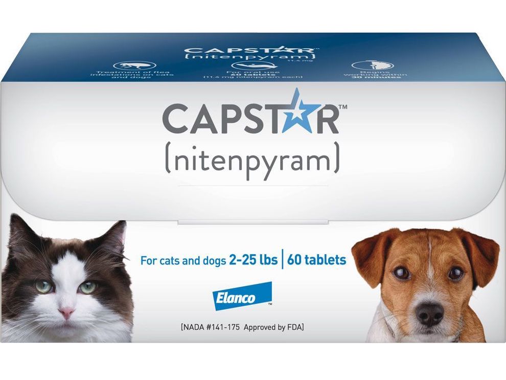 Capstar for cats 2-25 lbs (Purple) 60 tablets 1
