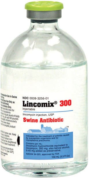 Lincomix Inyectable 100 ml 300 mg/ml 1