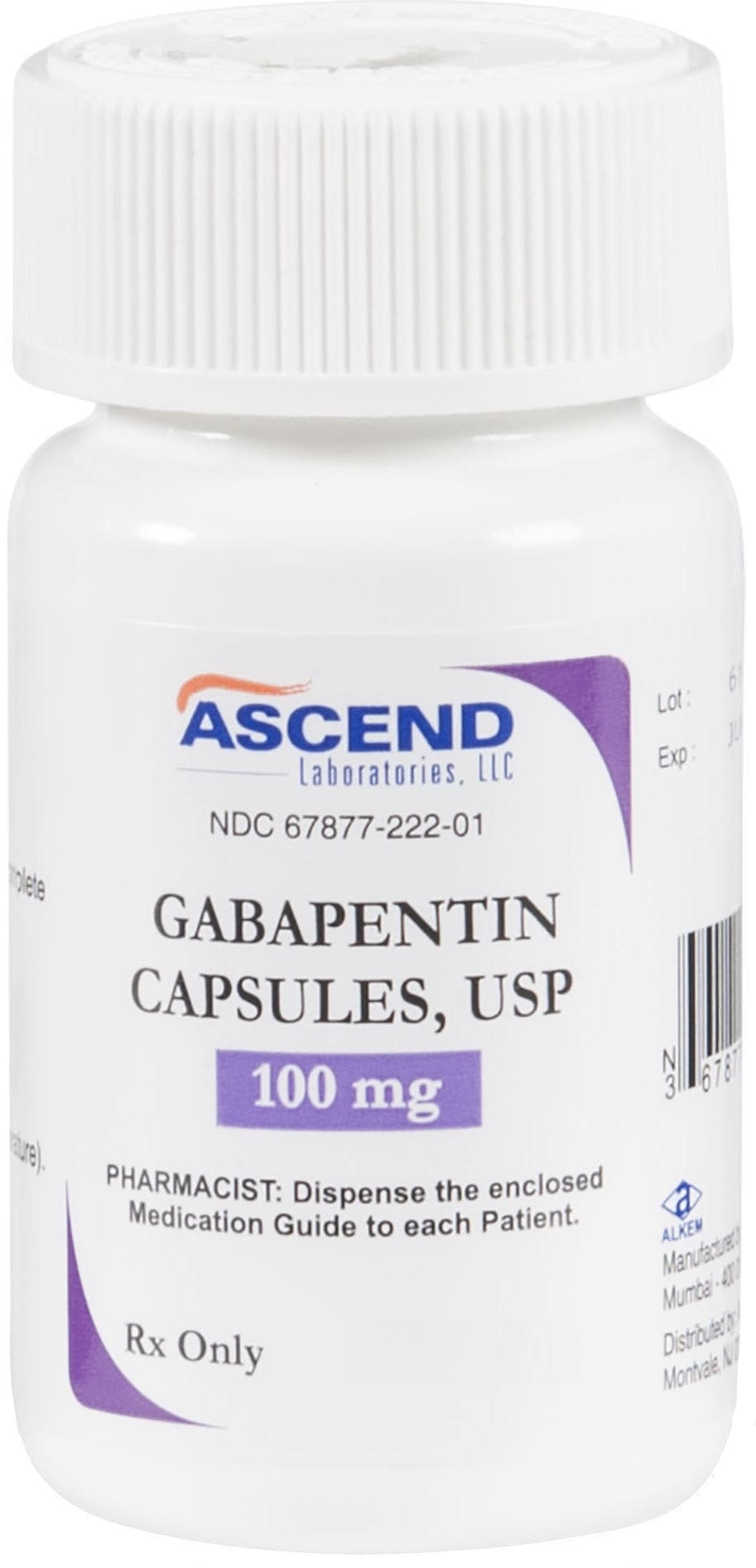 Gabapentin Capsules 1 count 100 mg 1