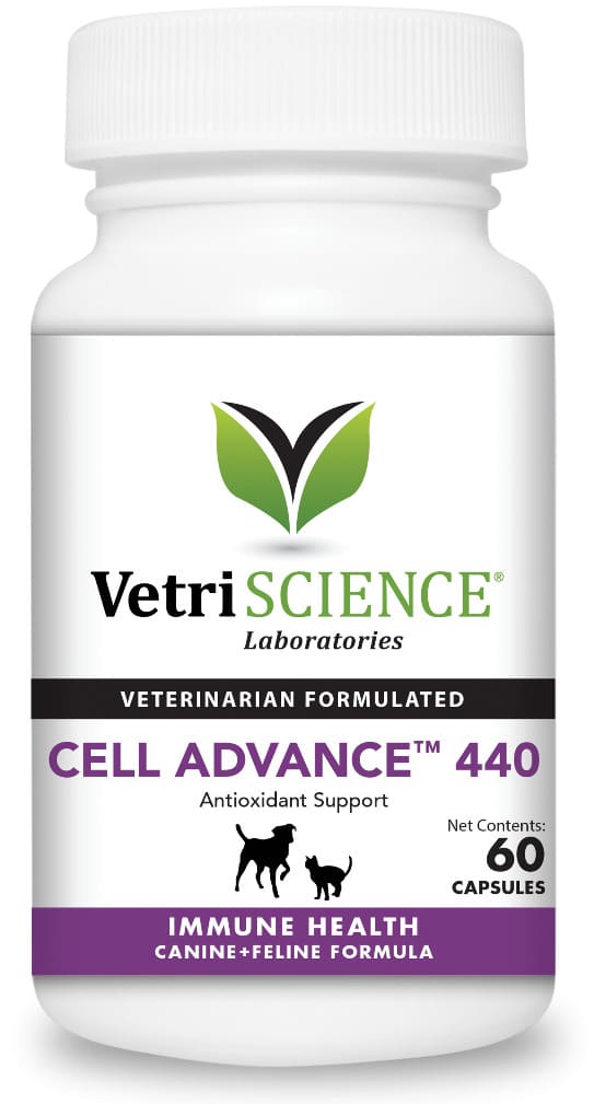 VetriScience Cell Advance 440 60 capsules 1