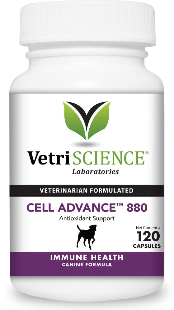 VetriScience Cell Advance 880 120 capsules 1