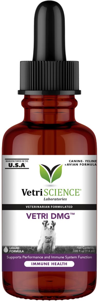 VetriScience Vetri DMG 3.85 oz (114 ml) 1
