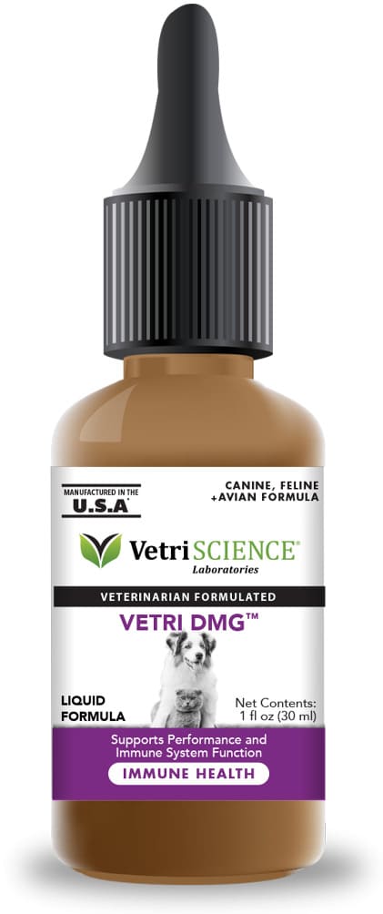 VetriScience Vetri DMG 1 oz (30 ml) 1