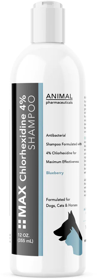 Animal Pharmaceuticals Max Chlorhexidine Shampoo 4% 12 oz Blueberry 1