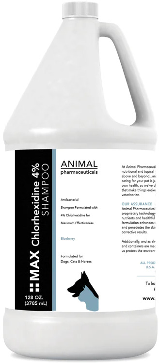 Animal Pharmaceuticals Max Chlorhexidine Shampoo 4% 1 gallon Blueberry 1