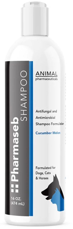 Animal Pharmaceuticals Pharmaseb Shampoo 16 oz Cucumber Melon 1
