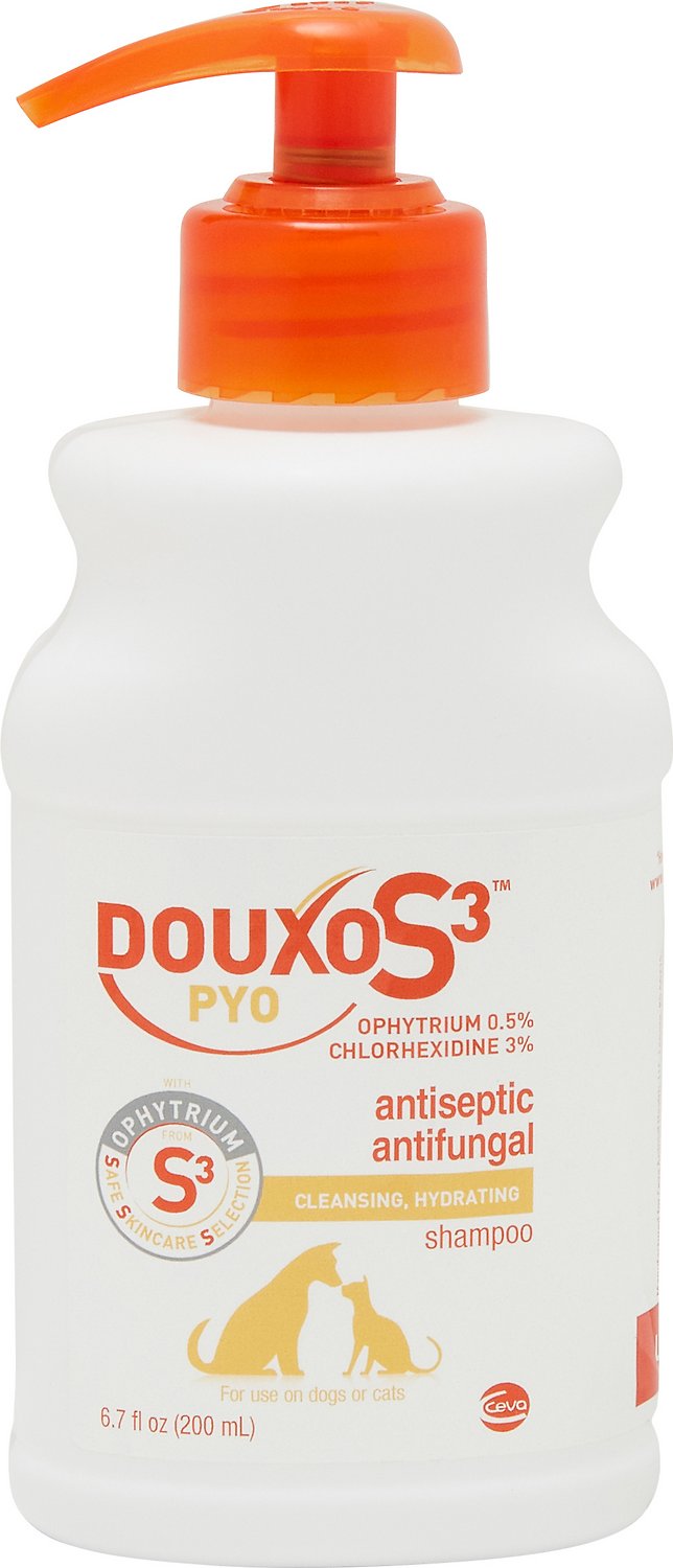 Douxo S3 PYO Shampoo 6.7 oz 1