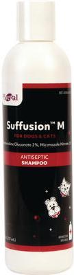 Pivetal Suffusion M Shampoo 8 oz 1