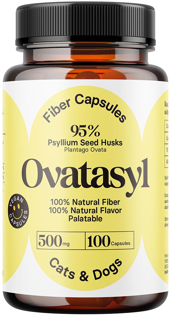 Ovatasyl Fiber Capsules 500 mg 100 capsules 1