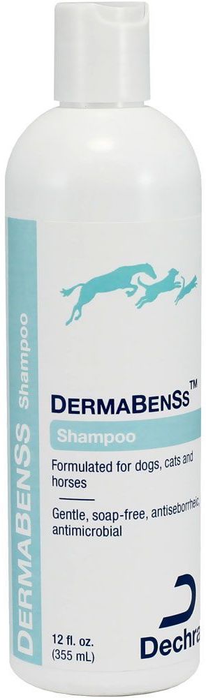DermaBenSs Shampoo