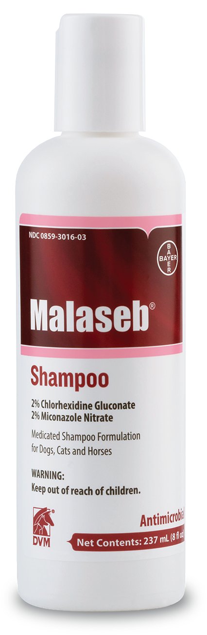 Malaseb Shampoo