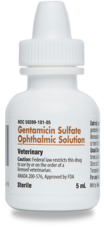 Gentamicin Sulfate Solución Oftálmica