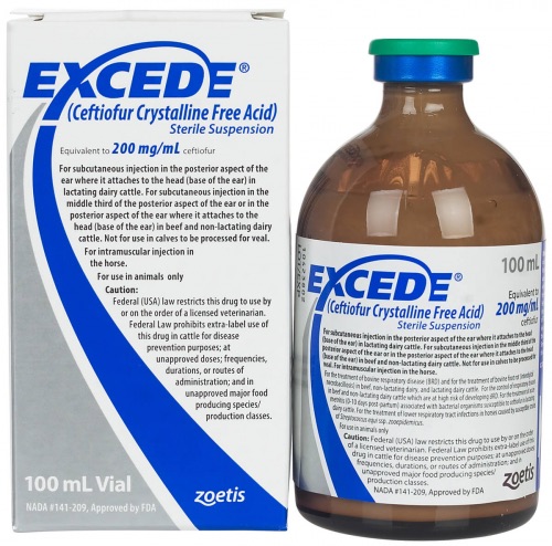 Excede for Horses