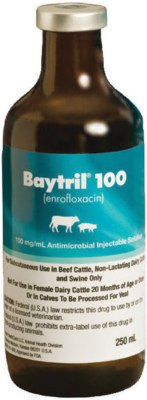Baytril 100 100 mg/ml 250 ml 1