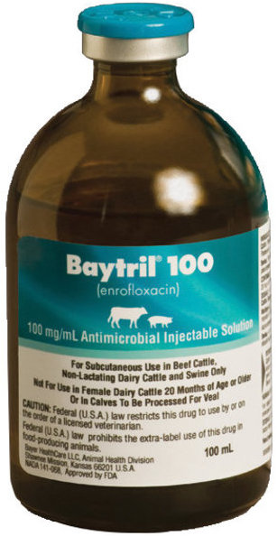 Baytril 100 100 mg/ml 100 ml 1