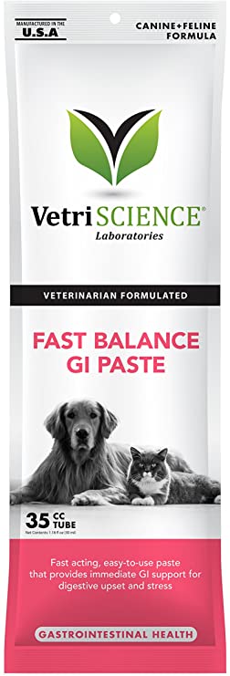 VetriScience Fast Balance GI Paste